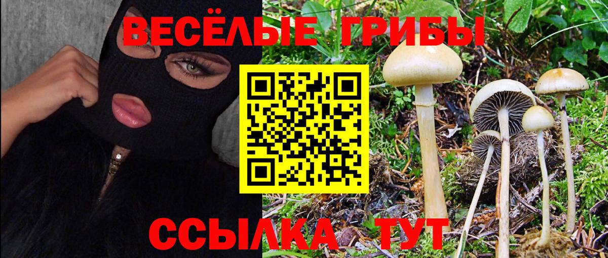 Галлюциногенные грибы Magic Shrooms  даркнет сайт  Магадан  Вход с VPN 